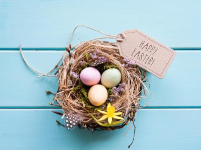 hoteldelavillecesenatico en en-easter-offer-in-cesenatico-at-3-star-hotel-near-the-sea-for-the-whole-family 018